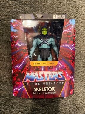 Mattel Masters of the Universe Skeletor Action Figure - Green & Black